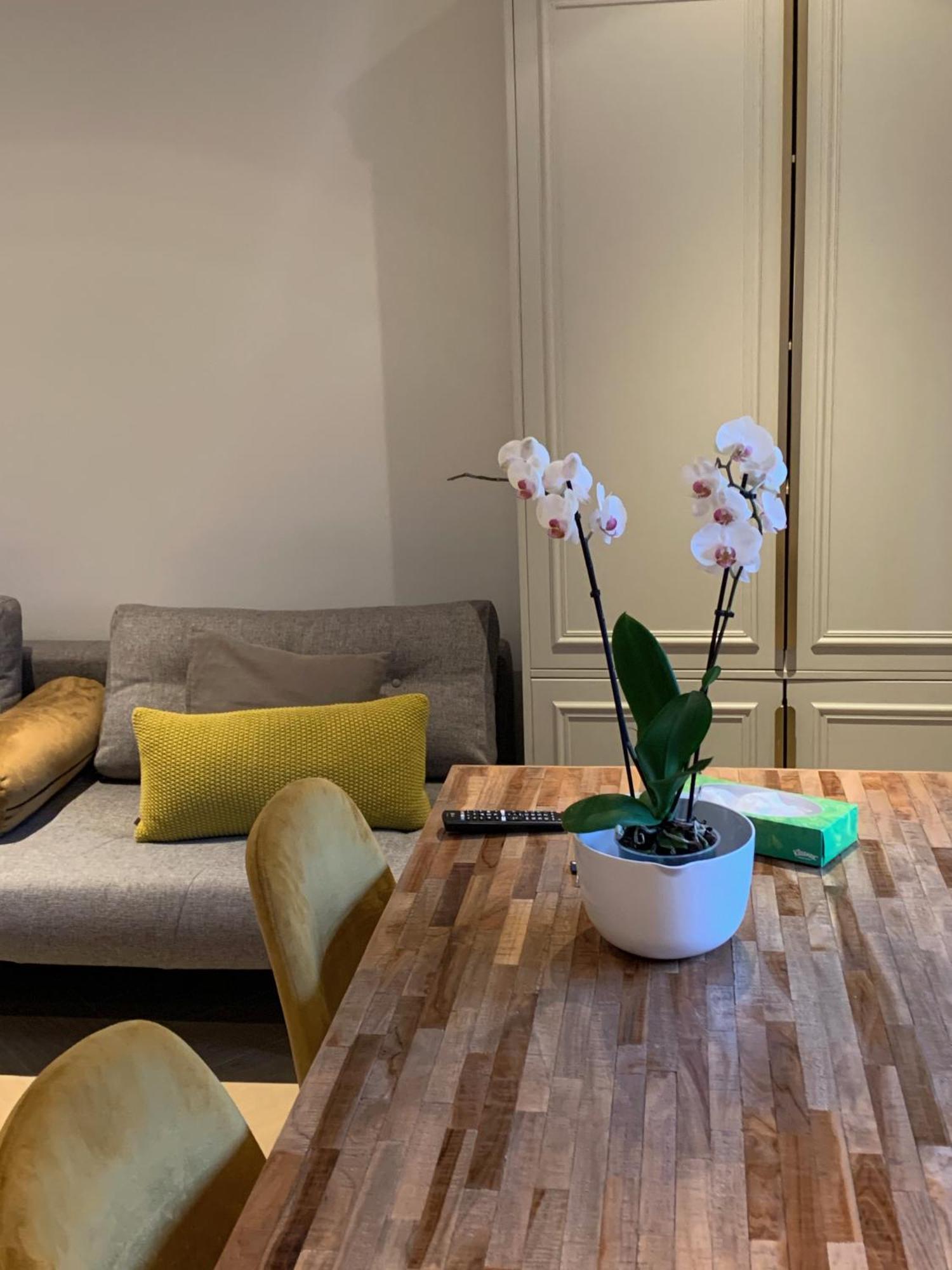 B&B Florapark 哈莱姆 外观 照片